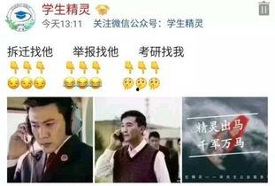 国产福利天天更新,每日更新，畅享视听盛宴